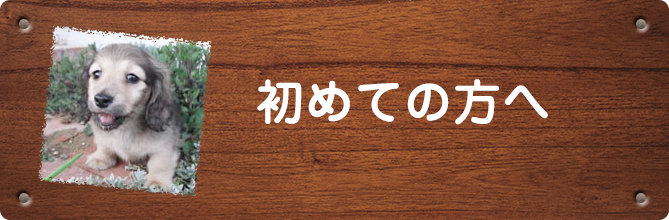 初めての方へ