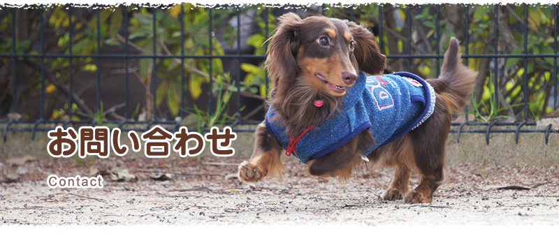 お問い合わせ