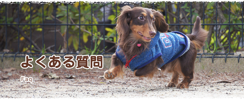 よくあるご質問