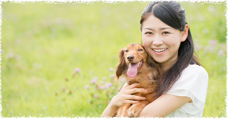 子犬をお譲りするにあたって